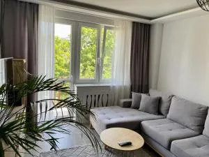 Na rogu 47 - Köslienen