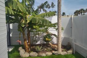 Las Tartanas 110-1-2