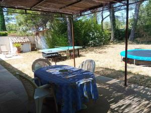 Maisons de vacances La Petite Maison Sous les Pins : photos des chambres