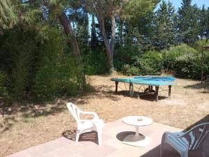 Maisons de vacances La Petite Maison Sous les Pins : photos des chambres