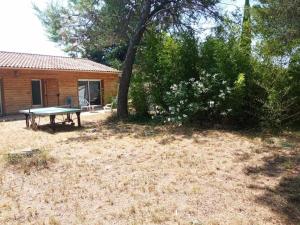 Maisons de vacances La Petite Maison Sous les Pins : photos des chambres