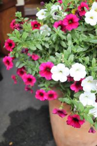 Ferienapart Bergstille