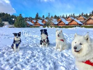 Chalets Chalet pistes 5 mn a pied vue montagne : photos des chambres