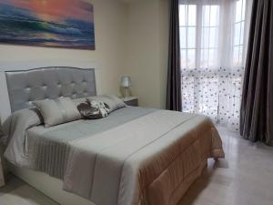 Moderno apto con vistas al puerto, aire acondicionado,wifi,piscina,fácil aparcamiento