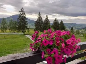 CASA LENA -VATRA DORNEI - Poiana Stampei