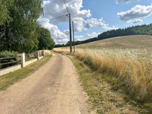 Maisons de vacances Le nid douillet du pays d’othe. : photos des chambres