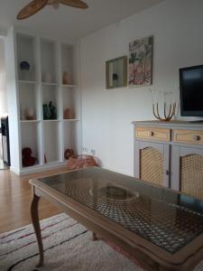 Blick auf den Magdalenenberg