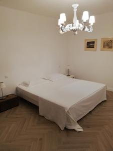 B&B / Chambres d'hotes Les 3 Platanes : photos des chambres