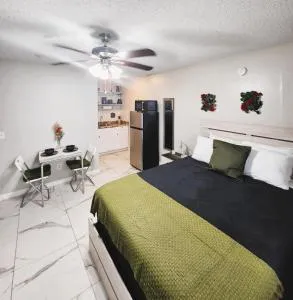 Adorable Mini Suite in Tampa - لوتز