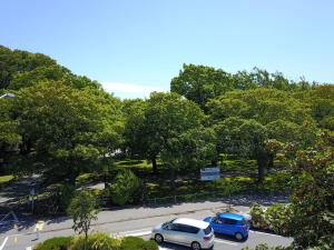 Modern 1 Bedroom Apartment across from Hagley Park