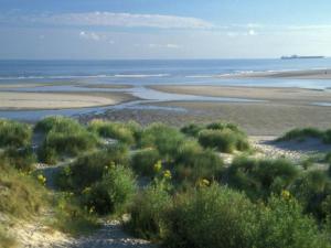 Appartements Nice apartment on the edge of the center of Bray-Dunes : photos des chambres