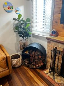 Wattleseed - 4 Wattle Street