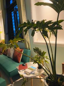 Phòng Đơn Hạng Tiết Kiệm (Economy Single Room)