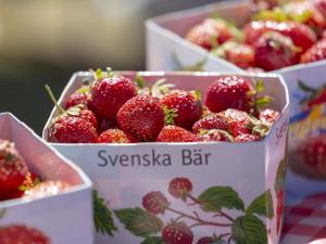 2 person holiday home in KIL-By Traum