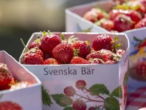 Holiday home KIL III - 基尔