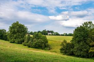 B&B / Chambres d'hotes Le Domaine de Langlardie : photos des chambres