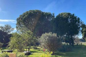 Maisons de vacances Gite Mas provencal : photos des chambres