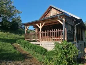 Hiška ob gozdu - 韦莱涅