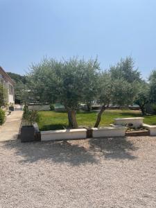 Maisons de vacances Villa Le Luberon : photos des chambres