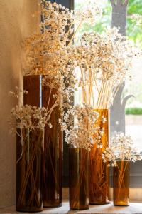 B&B / Chambres d'hotes Prieure Saint-Nicolas - Les Maisons : photos des chambres