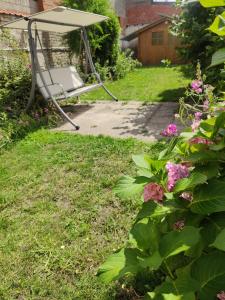 Maisons de vacances Maison de Ville restylee avec jardin, proche gare : Maison 1 Chambre