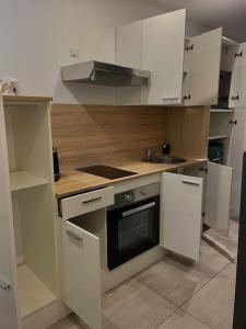 Appartements Paisible Duplexe sur Villeneuve d ascq : photos des chambres