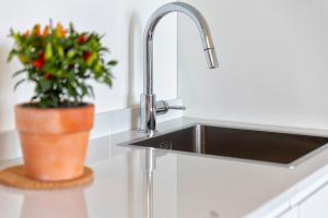 Blue Penthouse img12