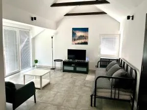 Open Space Apartment - Karaburma