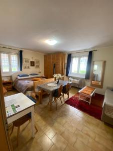 Superior Studio room in Villa Claudia