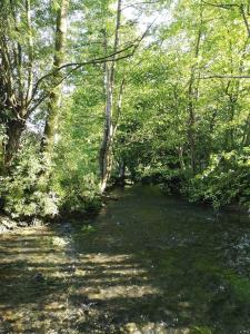 Maisons de vacances Gite La Petite riviere 6 pers-3 ch : photos des chambres