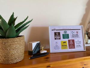 homonatura. sense of native living.