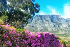 Disa Park Studio with Mountain Views