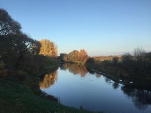 Comfortable apartments - Nature, silence, coziness