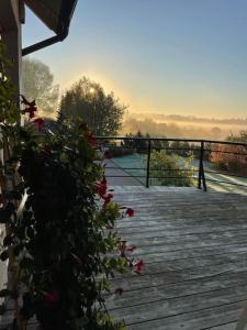 Comfortable apartments - Nature, silence, coziness