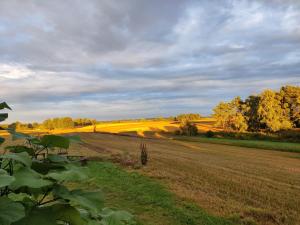 Dębina30 - Naturalnie odpoczniesz