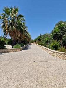 The Family Nest Villa in Cyprus
