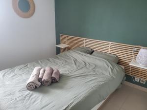 Charmant T2 Climatisé proche du centre et des commerces - Gare à 15 minutes