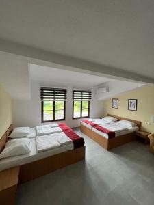 Comfort Quadruple Room room in River View