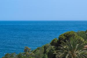 Appartements Proche Monaco, vue mer et acces a la plage : photos des chambres