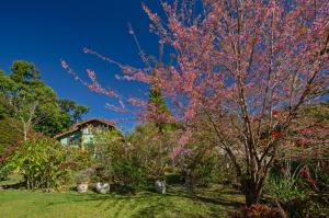 Chalé Flores e Amores