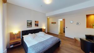 Deluxe Double Room room in Hotel Ambassador