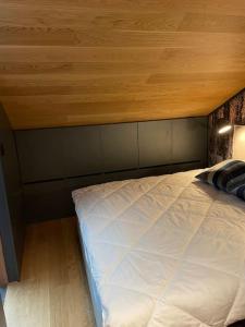 Appartements Superbe appartement Station Auron : photos des chambres