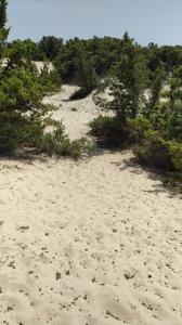 La casa sotto il Fortino img24