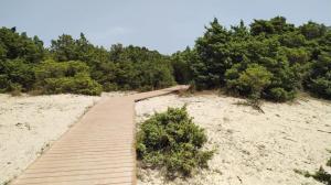 La casa sotto il Fortino img25