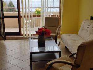 SUN AND FLOWERS APARTMENTS in front of the sea