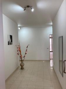 Civico 2 Olbia img44