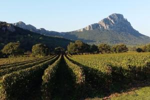 Maisons de vacances Gite Entre Cevennes et Mediterranee : photos des chambres