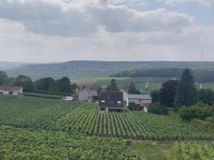 Maisons de vacances Maison au Coeur du Vignoble Champenois : photos des chambres