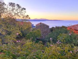 Maisons de vacances charmante bergerie a Cargese tres belle vue mer avec jardin : photos des chambres