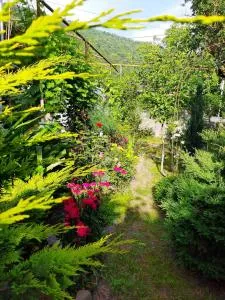 KOTE.GE - 扎卡塔雷